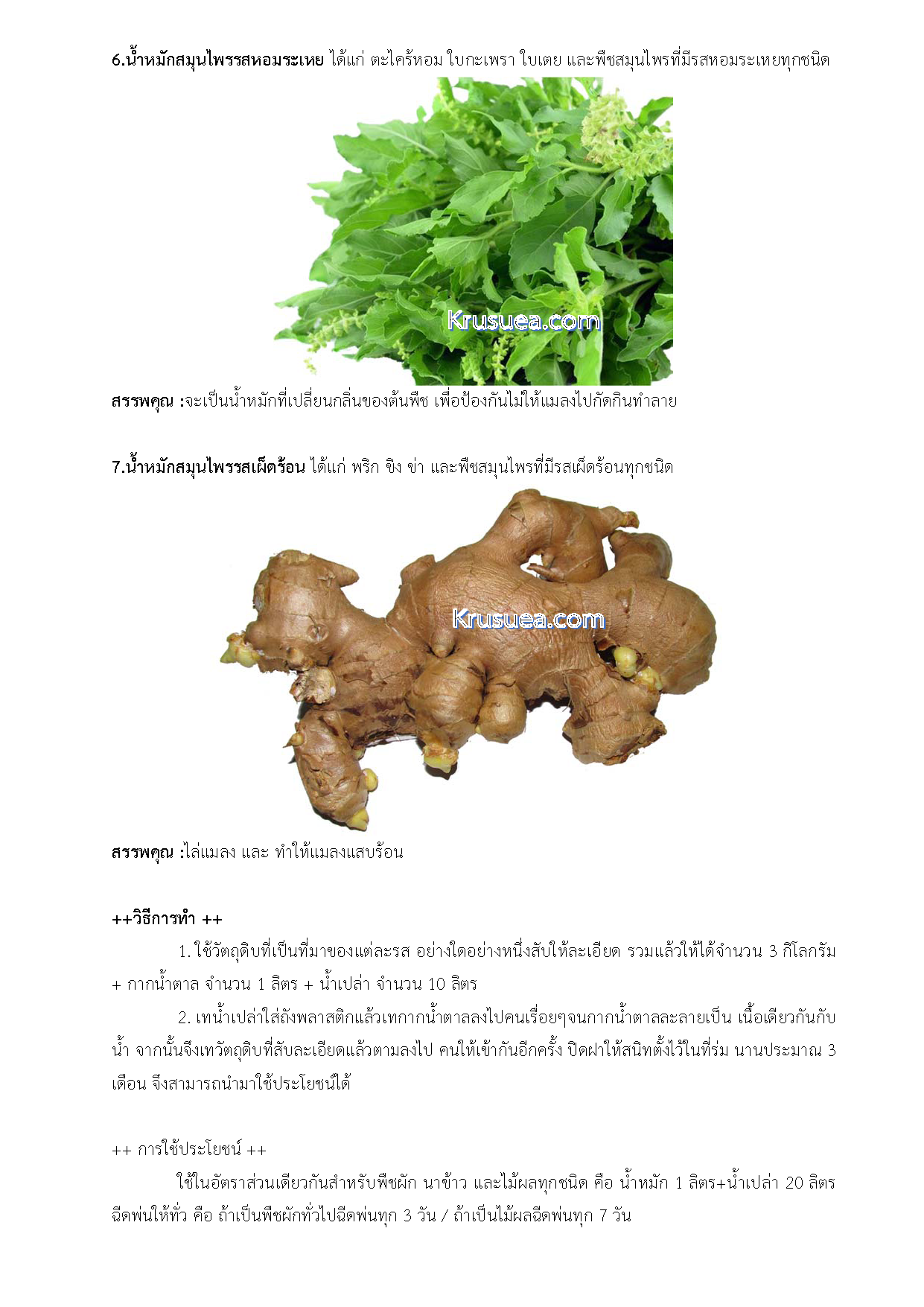 7 herbal fermented herbs Page 3