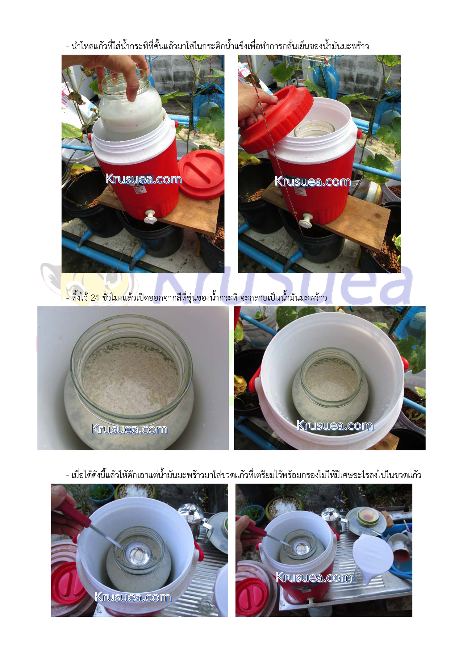 Coconut Oil Page 3