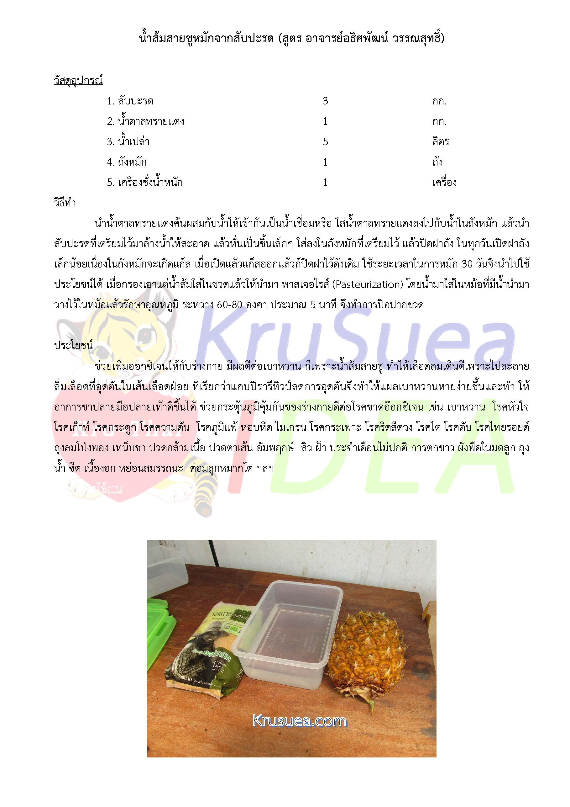 004 Pineapple Vinegar Page 1