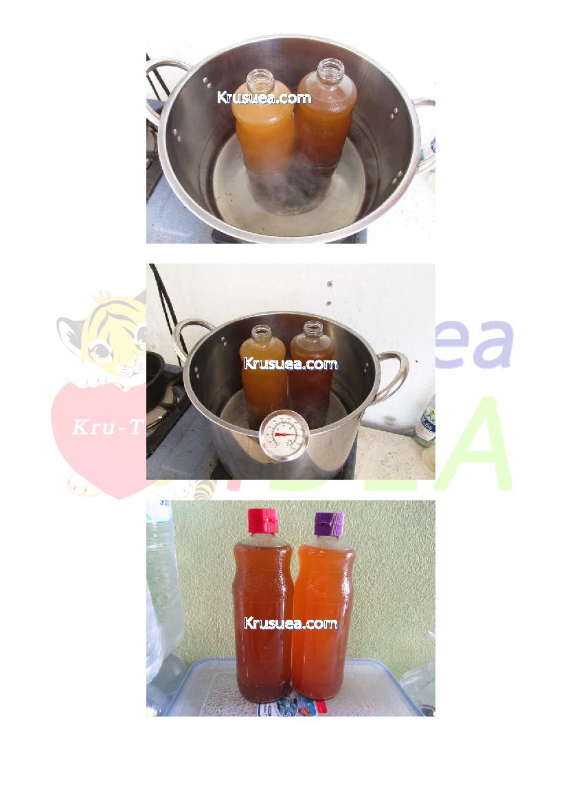 004 Pineapple Vinegar Page 3